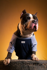 Load image into Gallery viewer, Navy Dune