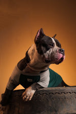 Load image into Gallery viewer, Forest Sage