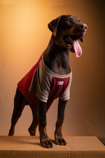 Load image into Gallery viewer, Sand Storm