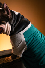 Load image into Gallery viewer, Forest Sage