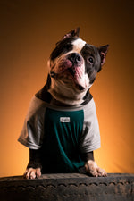 Load image into Gallery viewer, Forest Sage