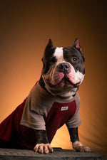 Load image into Gallery viewer, Sand Storm