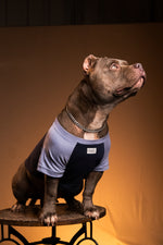 Load image into Gallery viewer, Navy Dune