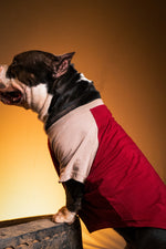 Load image into Gallery viewer, Sand Storm