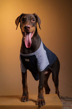 Load image into Gallery viewer, Navy Dune