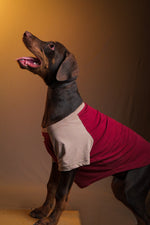 Load image into Gallery viewer, Sand Storm